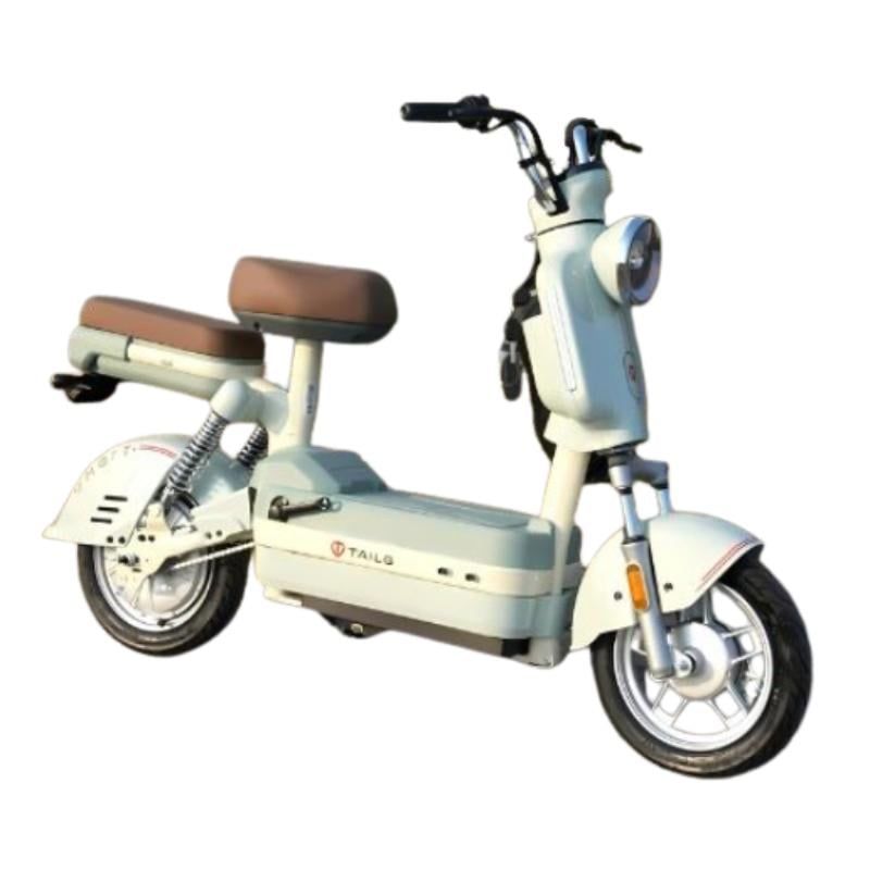 Xe đạp điện TAILG JS32