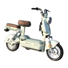 Xe đạp điện TAILG JS32