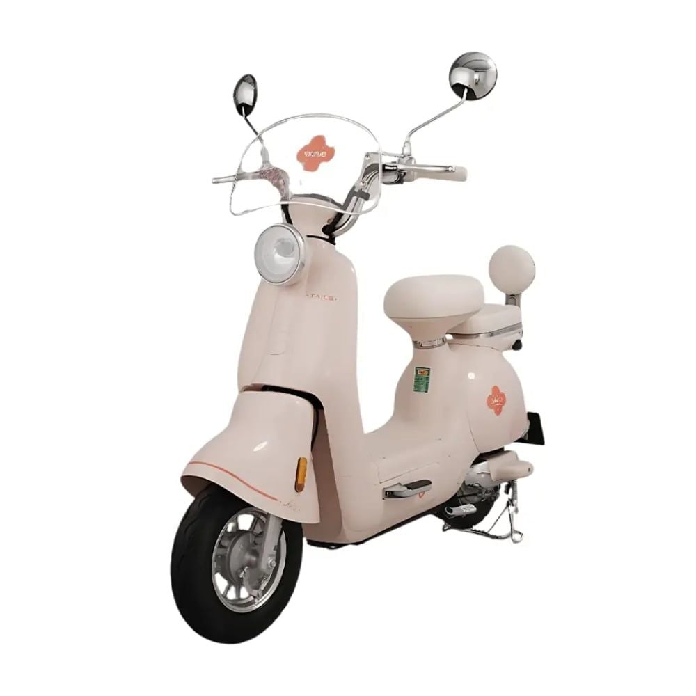 Xe đạp điện Tailg JS50