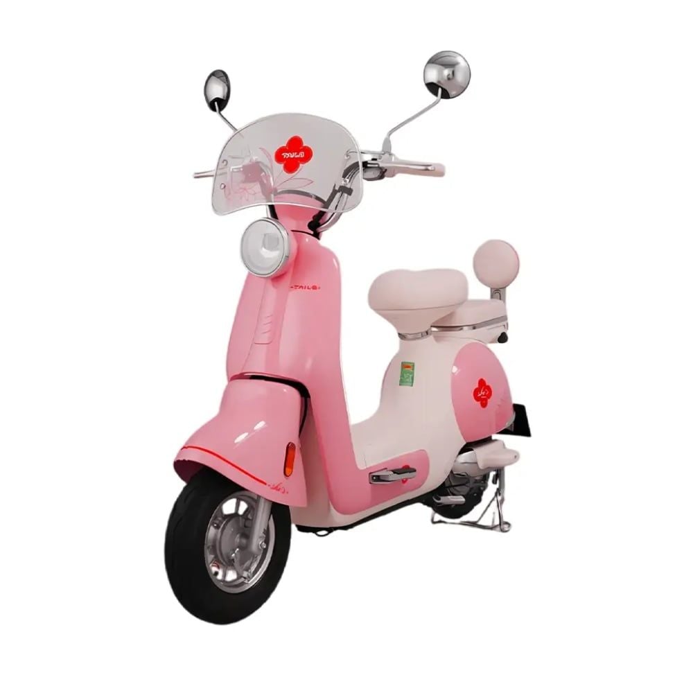 Xe đạp điện Tailg JS50