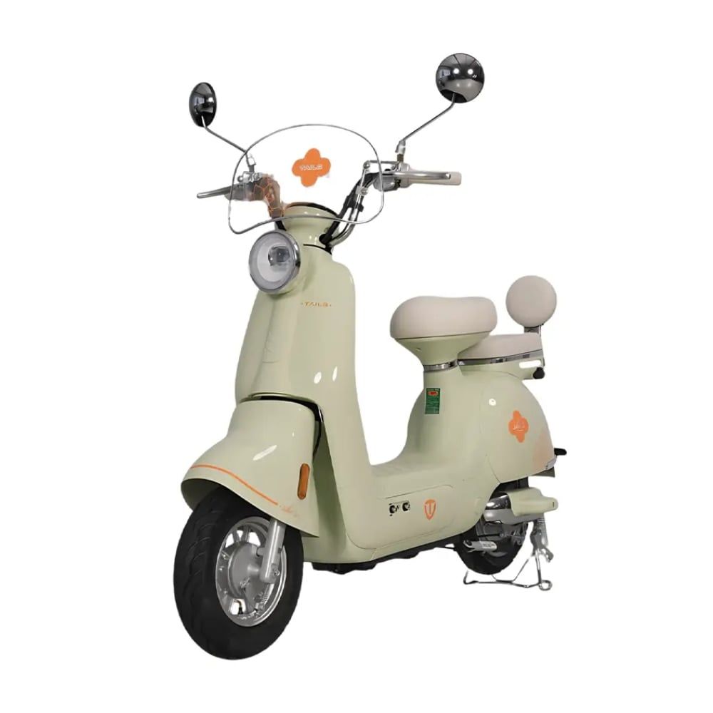 Xe đạp điện Tailg JS50