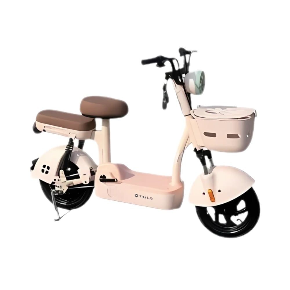 Xe đạp điện TAILG JY33