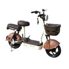 Xe đạp điện TAILG JY33