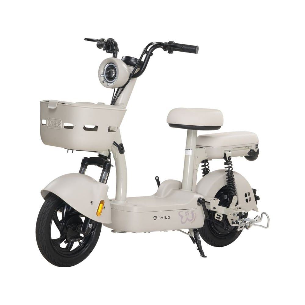 Xe đạp điện TAILG JY33