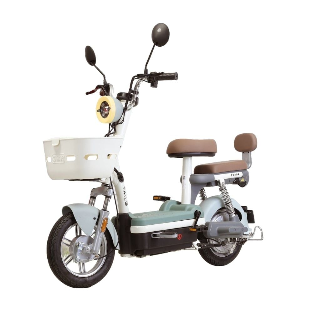 Xe đạp điện TAILG JY33