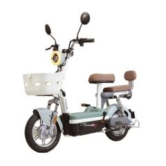 Xe đạp điện TAILG JY33