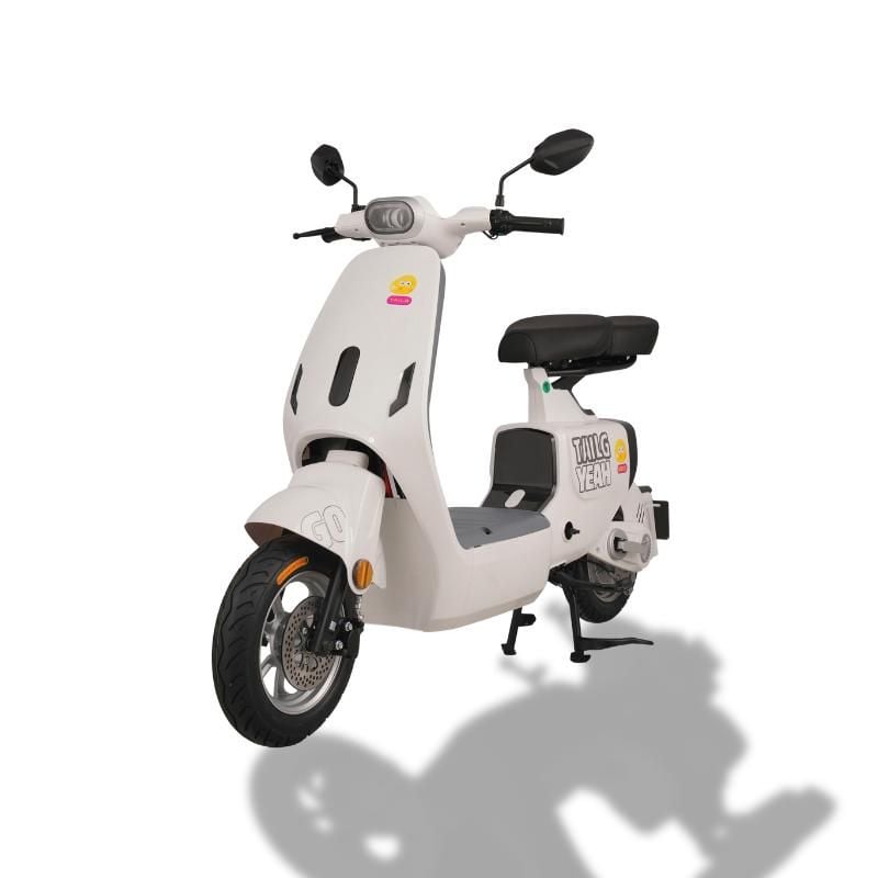 Xe đạp điện TAILG GR55