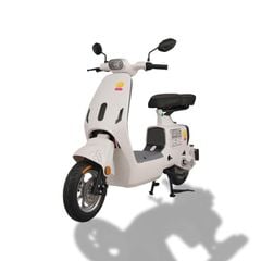 Xe đạp điện TAILG GR55