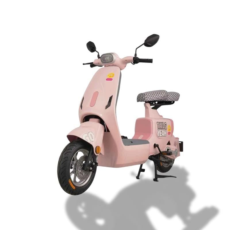 Xe đạp điện TAILG GR55