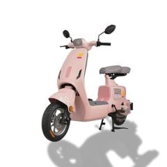 Xe đạp điện TAILG GR55