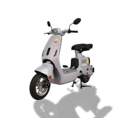 Xe đạp điện TAILG GR55