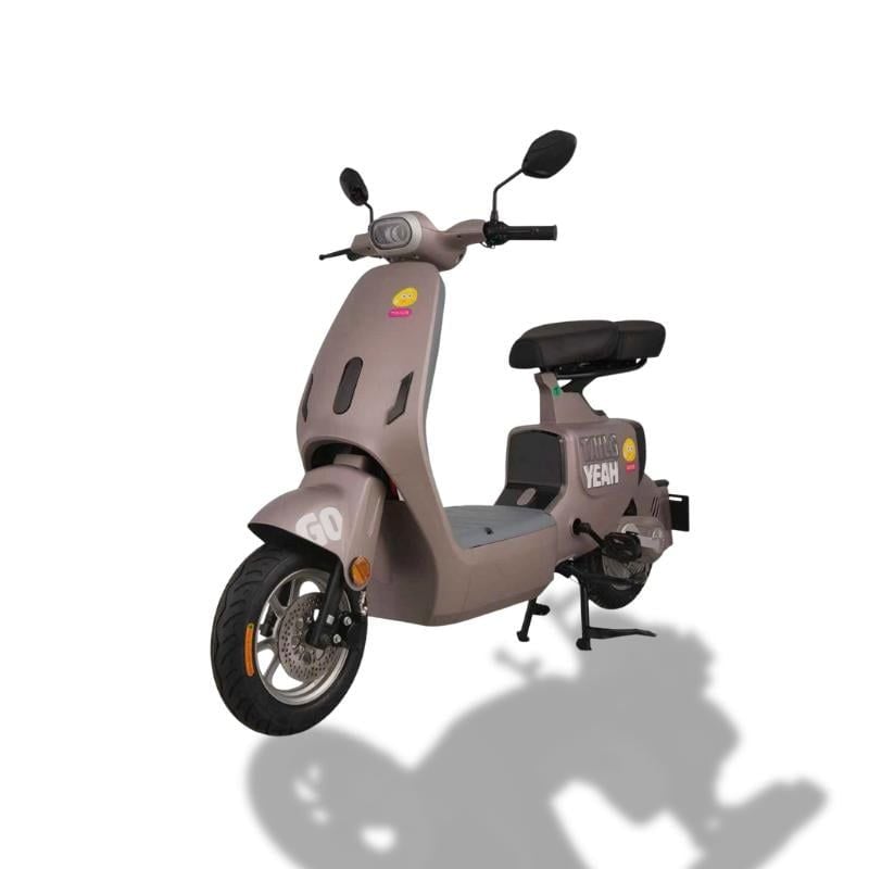 Xe đạp điện TAILG GR55