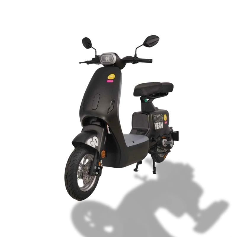 Xe đạp điện TAILG GR55