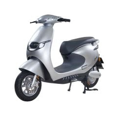 Xe Máy Điện Tailg R53