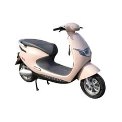 Xe Máy Điện Tailg R53