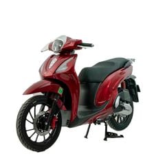 Xe tay ga 50cc Ally SV