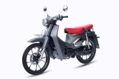 Xe số 50cc Halim Cub FI50