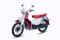 Xe số 50cc Halim Cub FI50