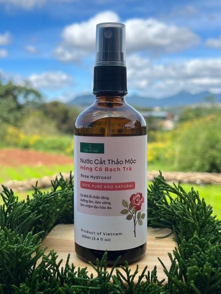  Hydrosol Hồng Cổ Bạch Trà 