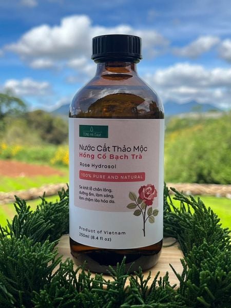  Hydrosol Hồng Cổ Bạch Trà 