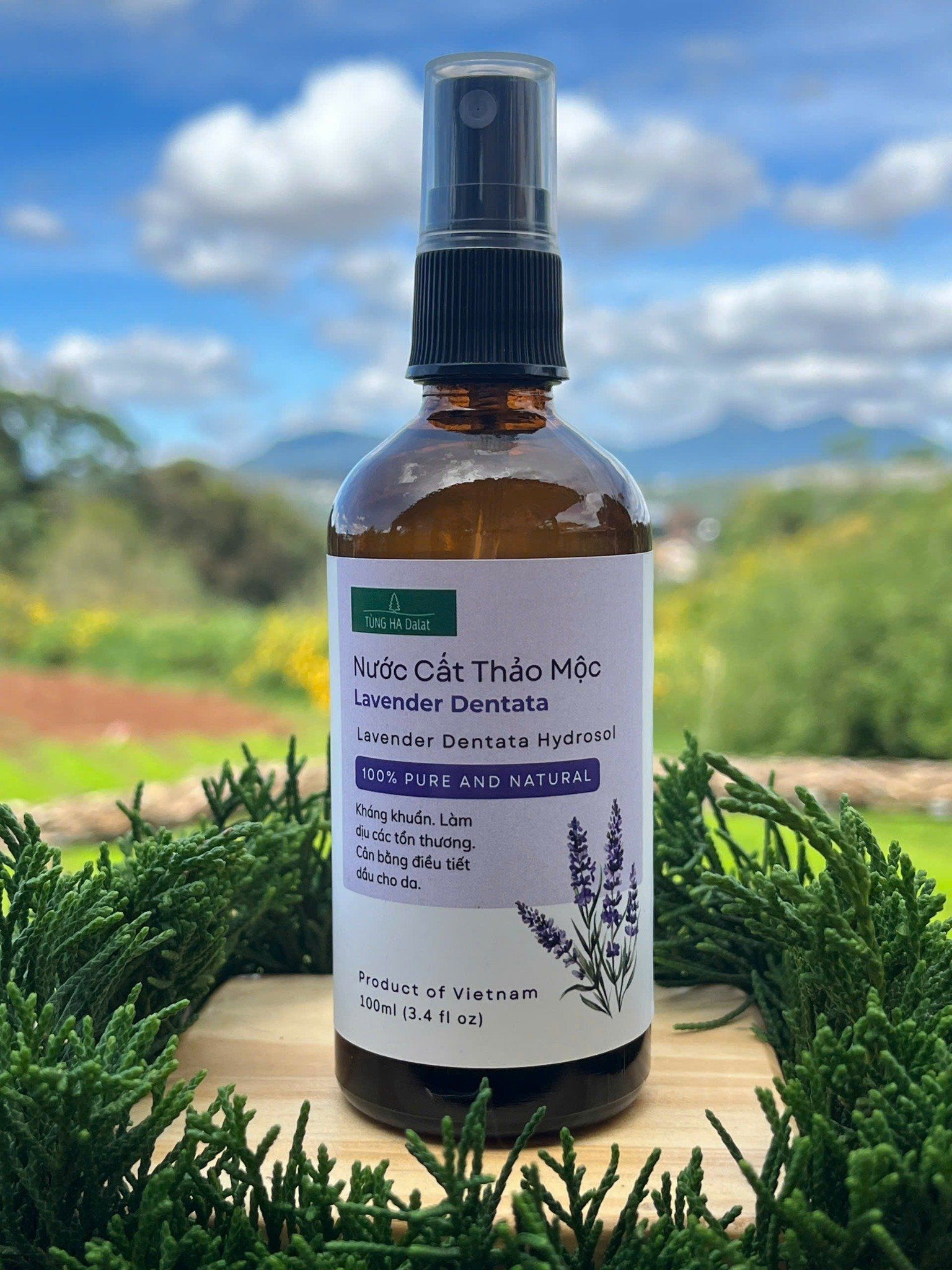  Hydrosol Lavender 