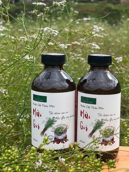  Nước cất Mùi Già 