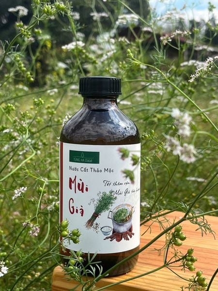  Nước cất Mùi Già 