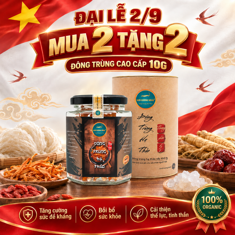 [Mua 2 Tặng 2] Mua 2 Đông Trùng Hạ Thảo Khô 10G Tặng 2 ĐTHT Khô 10g (giấy)