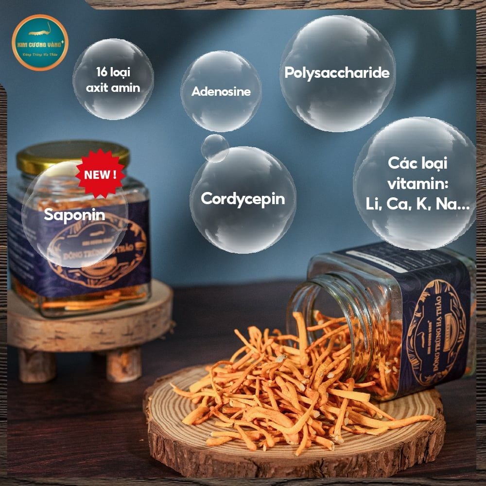 ĐÔNG TRÙNG HẠ THẢO LEGEND KIM CƯƠNG VÀNG