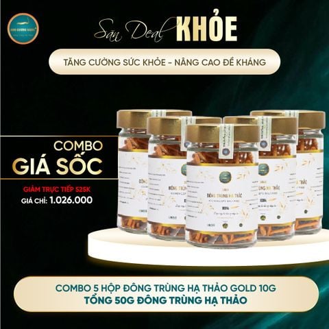 [SỐ LƯỢNG CÓ HẠN] Combo 5 Hộp Đông Trùng Hạ Thảo Gold 10g (Tổng 50G)