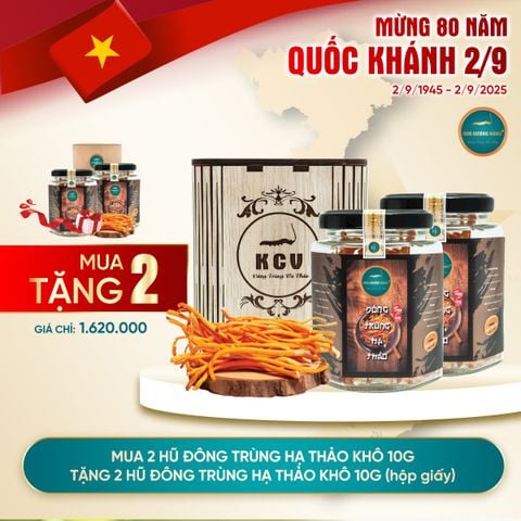 [Mua 2 Tặng 2] Mua 2 Đông Trùng Hạ Thảo Khô 10G Tặng 2 ĐTHT Khô 10g (giấy)