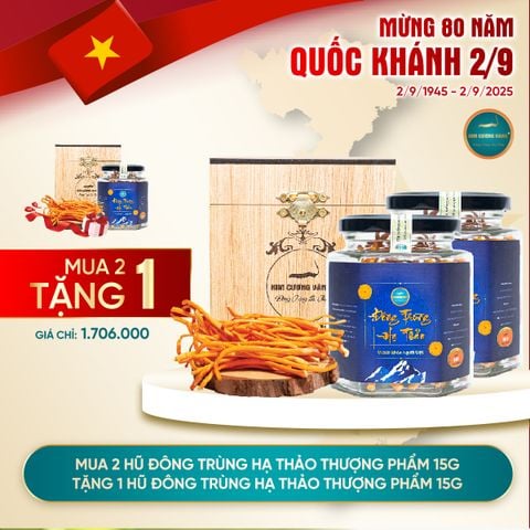[Mua 2 Tặng 1] Đông Trùng Hạ Thảo 15g