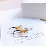  Bông Tai, Khuyên Tai Swarovski Energic drop earrings Brown, Gold-tone plated 5616263 