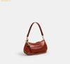  Túi Đeo Vai Coach Ashton Bag Cinnamon 
