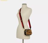  Túi Đeo Chéo Coach Mini Dempsey Camera Bag With Tiger Print C6953 