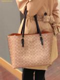  Túi Tote Coach Mollie Tote Bag In Signature Canvas CV967 Nâu Nhạt 