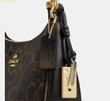  Túi Đeo Vai Coach Teri Shoulder Bag In Loved Signature Canvas With Charms - CDY18 - Brown 