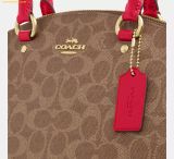  Túi Xách Coach Sadie Satchel Bag In Signature Canvas CCM72 Tan Red 