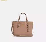  Túi Tote Coach Mollie Tote Bag 25 Taupe Oxblood 