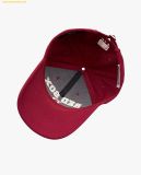  Mũ Lưỡi Trai MLB Varsity Series Boston Red Sox 3ACPV033N-43WID 