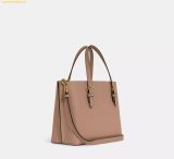  Túi Tote Coach Mollie Tote Bag 25 Taupe Oxblood 