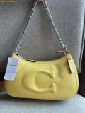  Túi Đeo Vai Coach Teri Shoulder Bag Daisy CR099 
