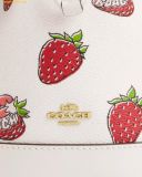  Túi Đeo Chéo Coach Mini Bucket Bag With Strawberry Print 