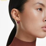  Khuyên Tai Bông Tai Swarovski Bella drop earrings Round cut, Red, Gold-tone plated 