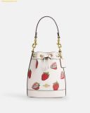  Túi Đeo Chéo Coach Mini Bucket Bag With Strawberry Print 