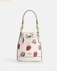 Túi Đeo Chéo Coach Mini Bucket Bag With Strawberry Print