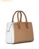  Túi Xách Michael Kors Laila Extra Small Leather Crossbody Bag Peanut Multi 