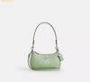  Túi Đeo Vai Coach Teri Mini Crossbody Bag In Signature Leather With Heart Charm Pale Green CCZ29 