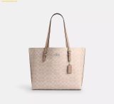  Túi Tote Coach Mollie Tote Bag In Signature Canvas CV967 Silver 