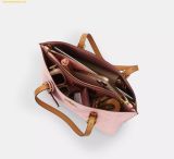  Túi Tote Coach Mollie Tote Bag 25 In Signature Canvas With Charms Powder Pink CER24 